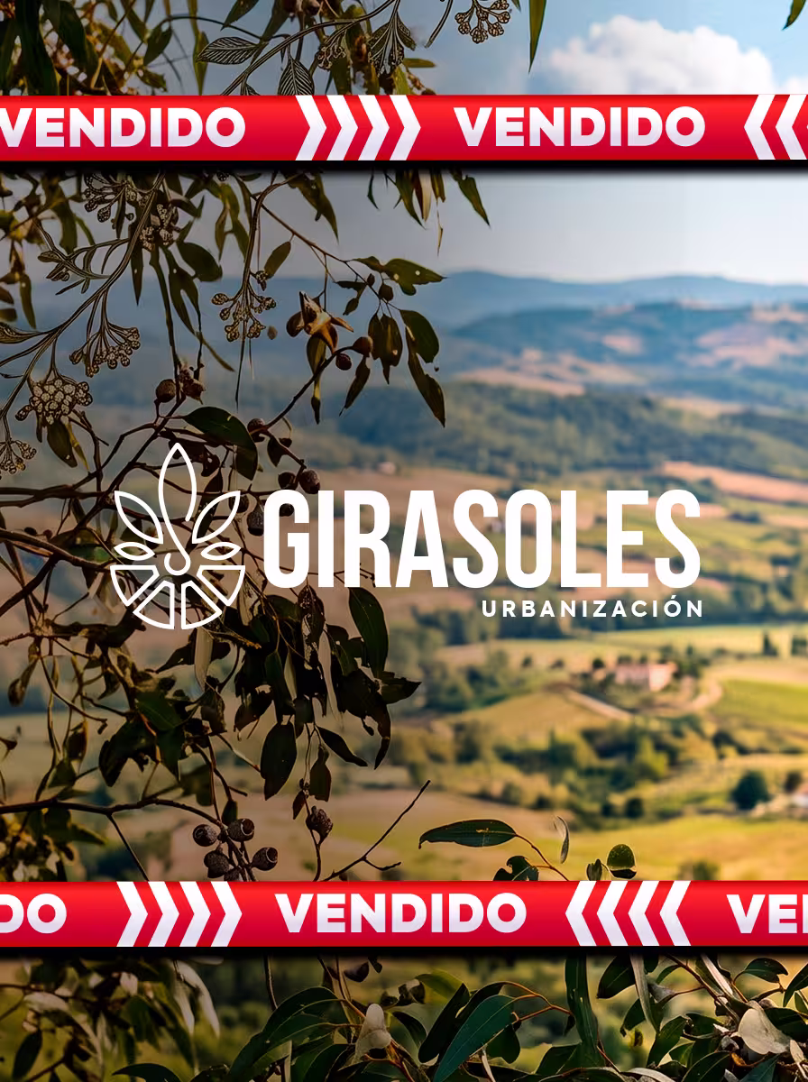 Girasoles
