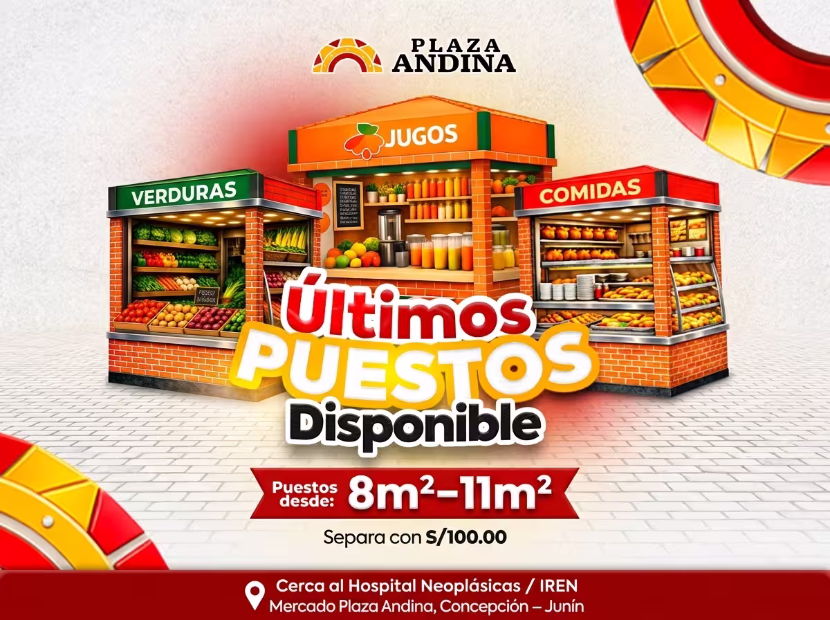 Vista de Plaza Andina - imagen 1