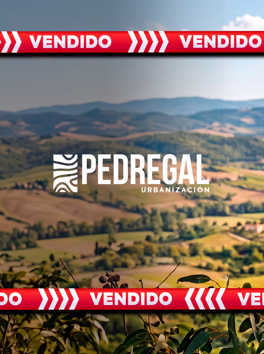 El Pedregal